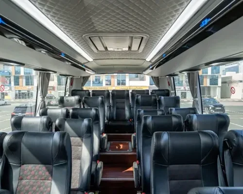 49 Seater Zongtong